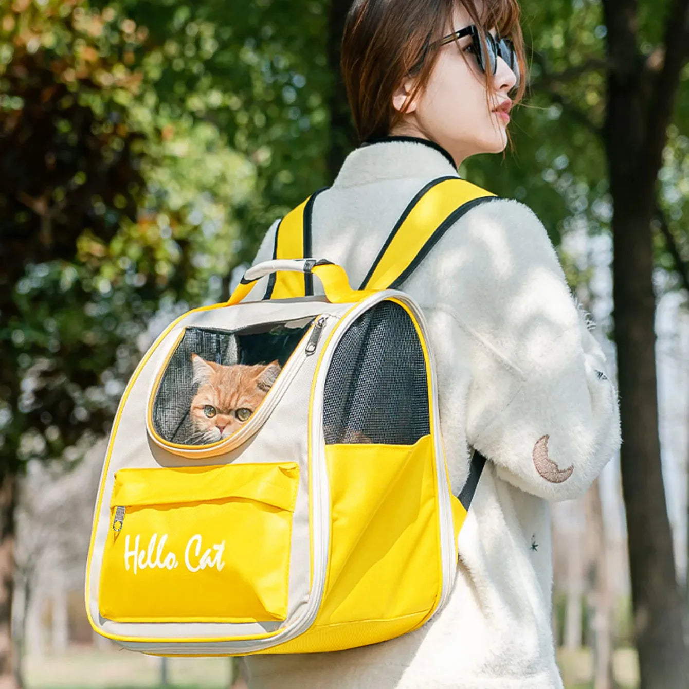 Transparent Cat Backpack Carrier Space Capsule Travel Bag