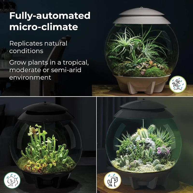 Air 30 Automated Acrylic Terrarium Desert Tropical Black
