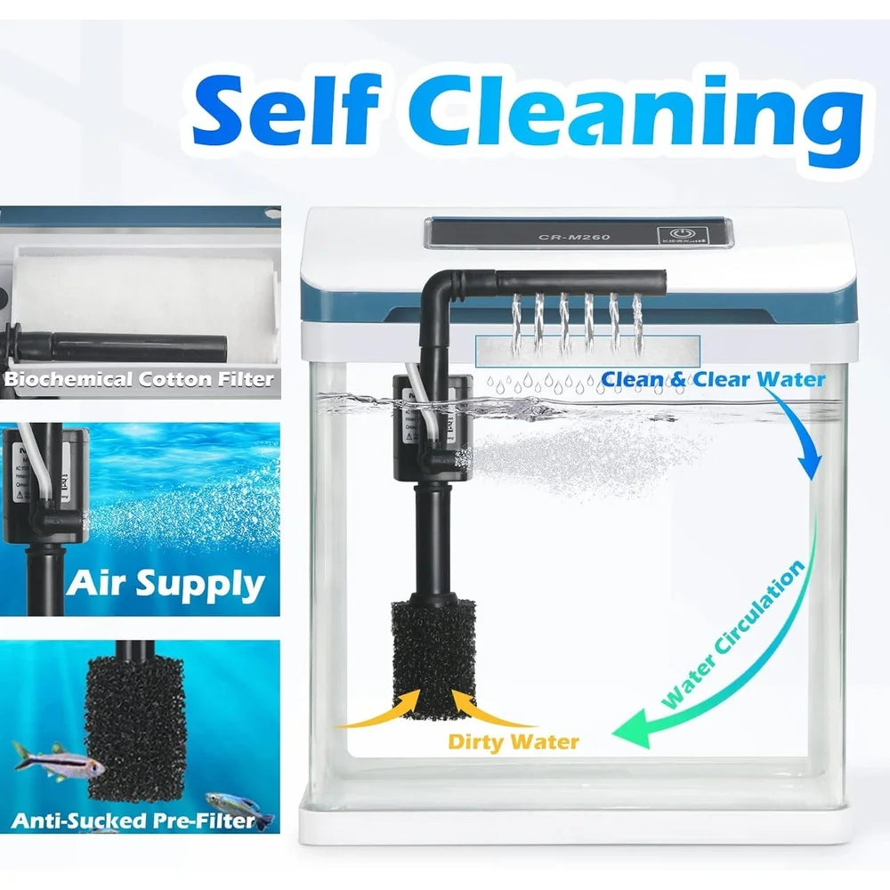 2 Gallon Glass Aquarium Starter Kit With Colorful LED Light