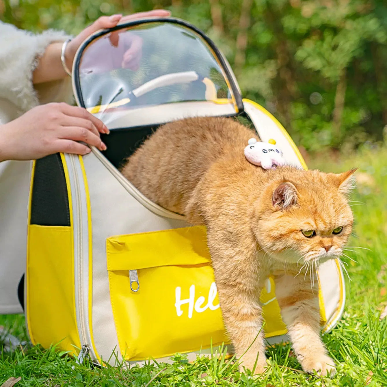 Transparent Cat Backpack Carrier Space Capsule Travel Bag