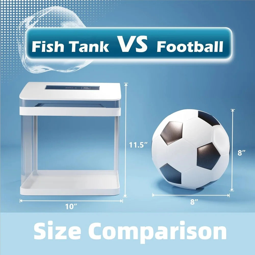 2 Gallon Glass Aquarium Starter Kit With Colorful LED Light