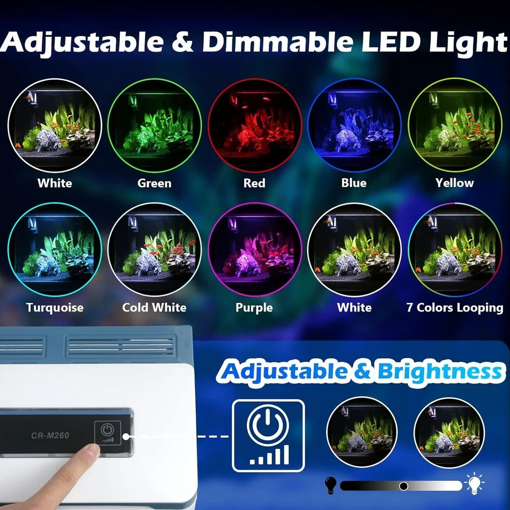 2 Gallon Glass Aquarium Starter Kit With Colorful LED Light