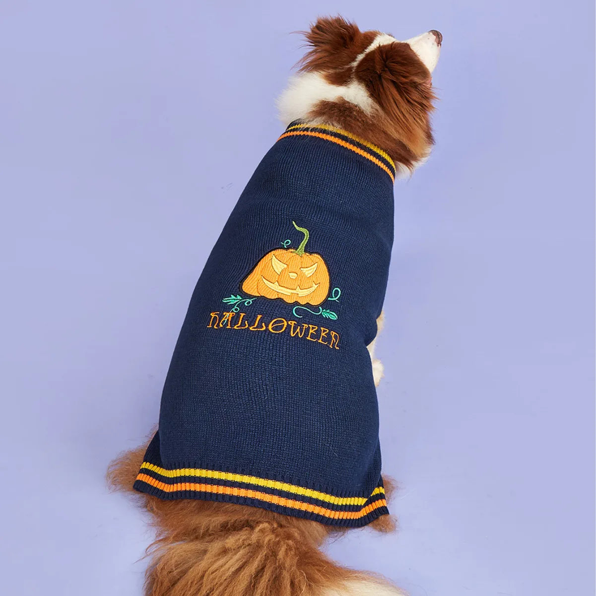 Halloween Pumpkin Smile Dog Sweater For Small Medium Pets