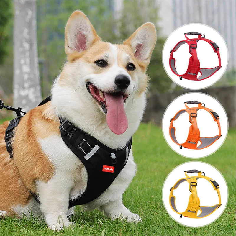 Explosion Proof Chest Harness Leash for Corgi and Shiba Inu