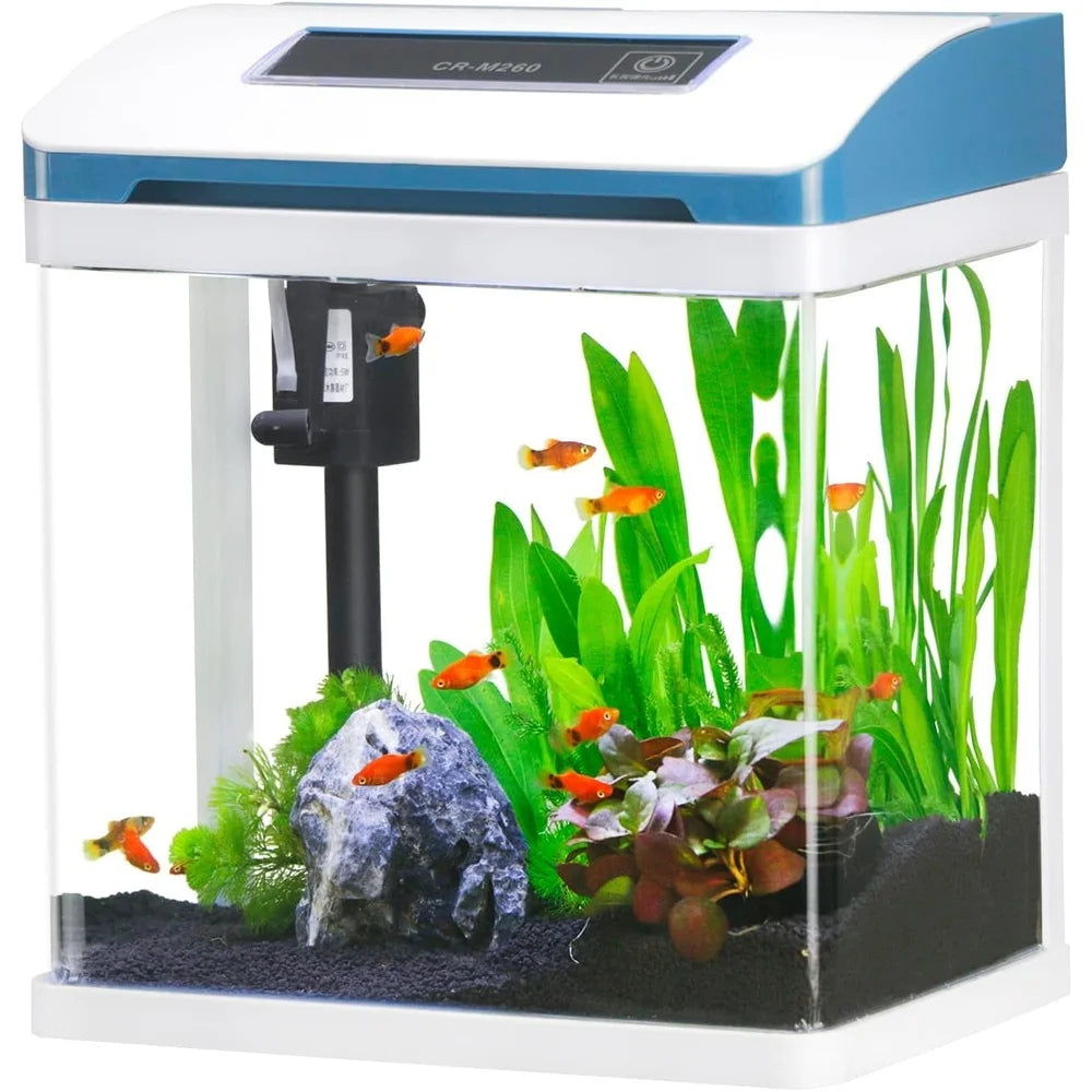 2 Gallon Glass Aquarium Starter Kit With Colorful LED Light