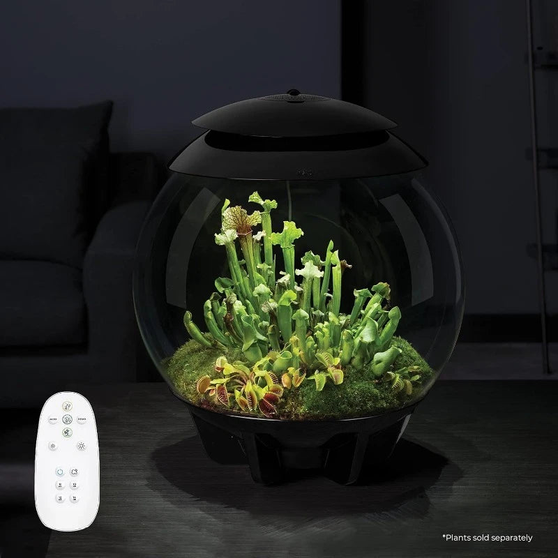 Air 30 Automated Acrylic Terrarium Desert Tropical Black