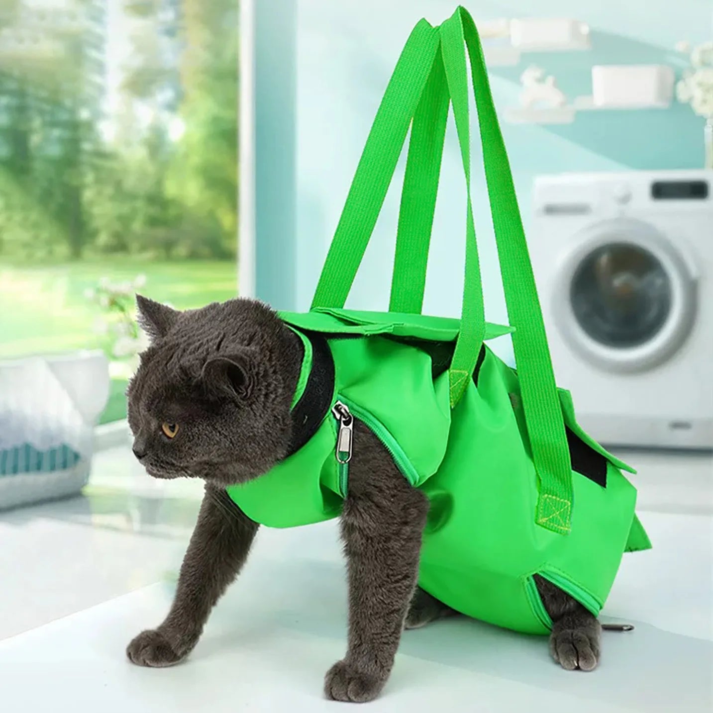 Foldable Cat Carrier Bag Travel Pet Tote With Straps