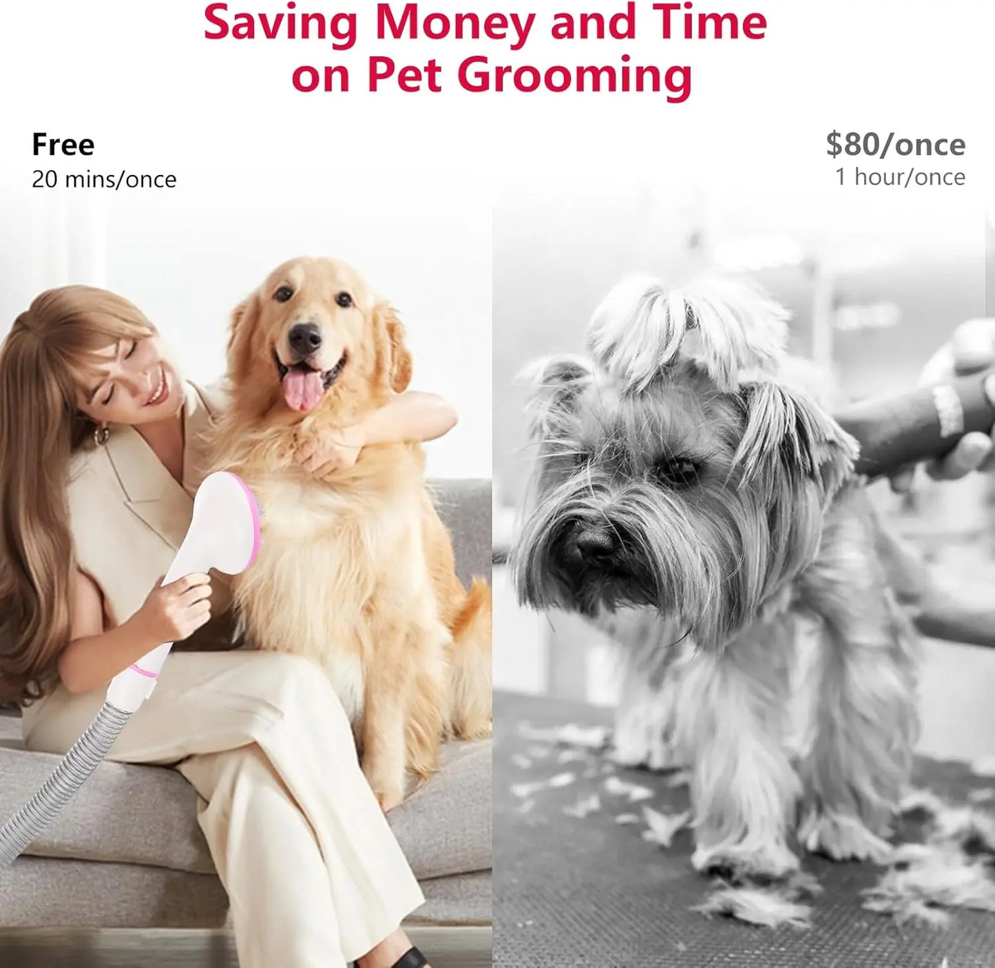 Pet Grooming Vacuum Dog Hair Vacuum For Dogs And Cats