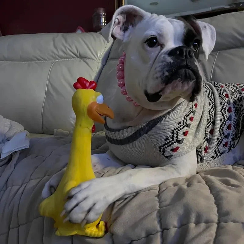 Large Cartoon Latex Screaming Chicken Duck Dog Chew Toy Durable Natural Rubber Squeaker Ideal for Teeth Grinding