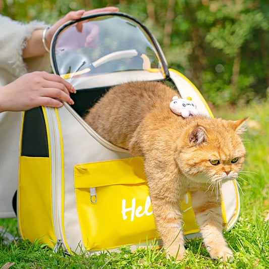 Transparent Cat Backpack Carrier Space Capsule Travel Bag