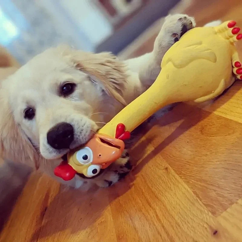 Large Cartoon Latex Screaming Chicken Duck Dog Chew Toy Durable Natural Rubber Squeaker Ideal for Teeth Grinding