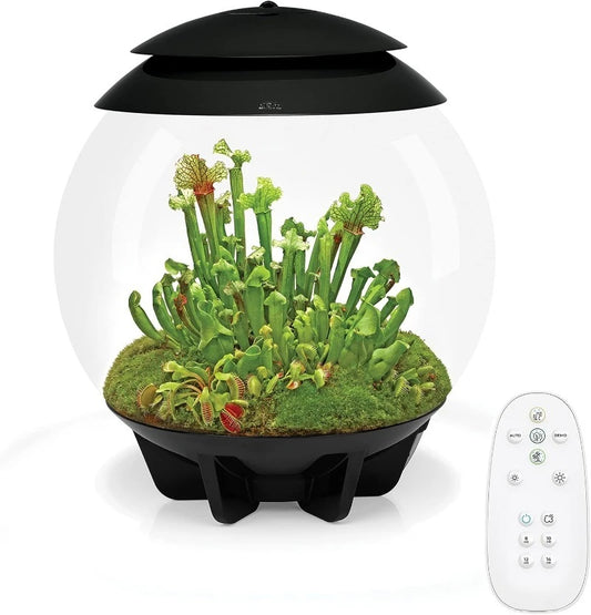 Air 30 Automated Acrylic Terrarium Desert Tropical Black